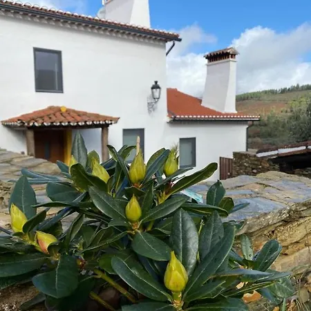 Affittacamere Casa Do Vale Marvão Esterno foto