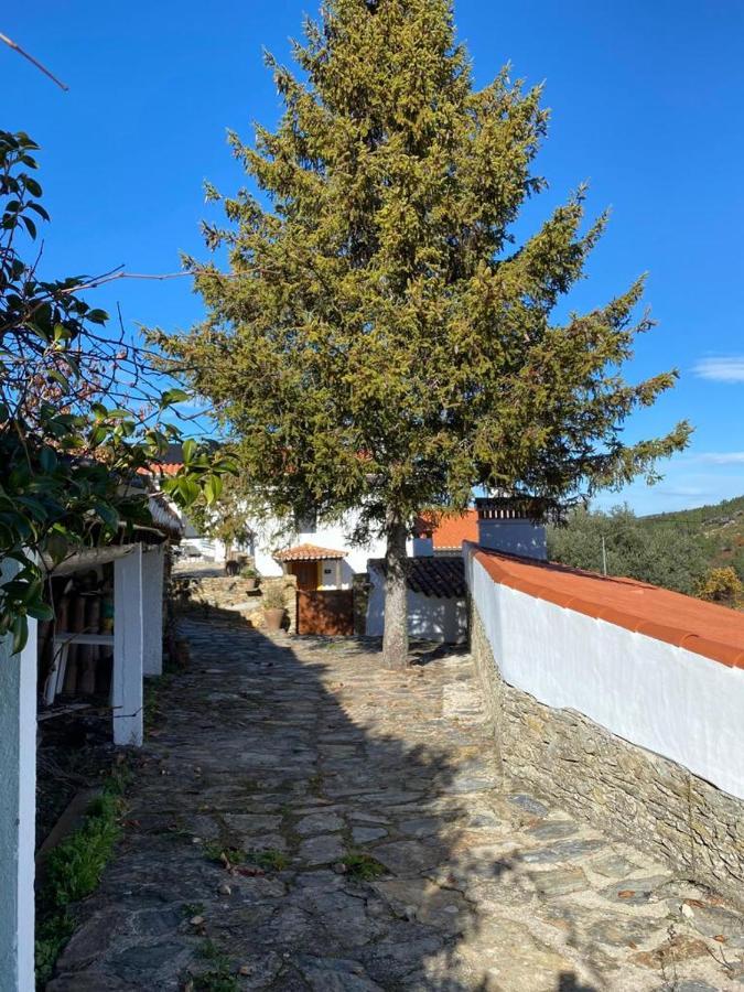 Casa Do Vale Country house Marvao (Portalegre)